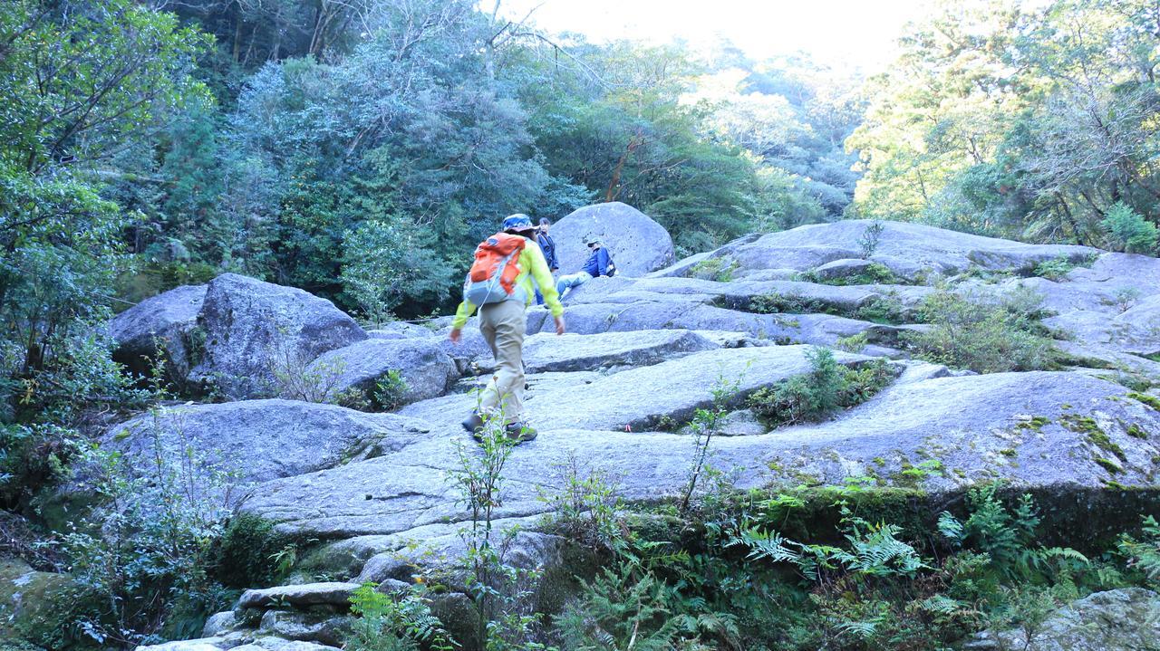 ホテル 民宿　宮之浦荘 屋久島町 エクステリア 写真